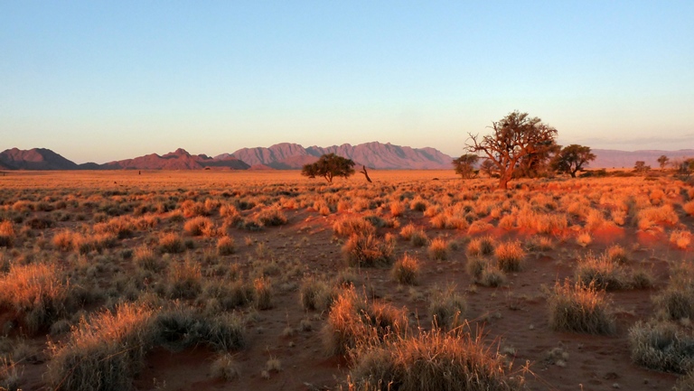 Grassteppe im Sunset